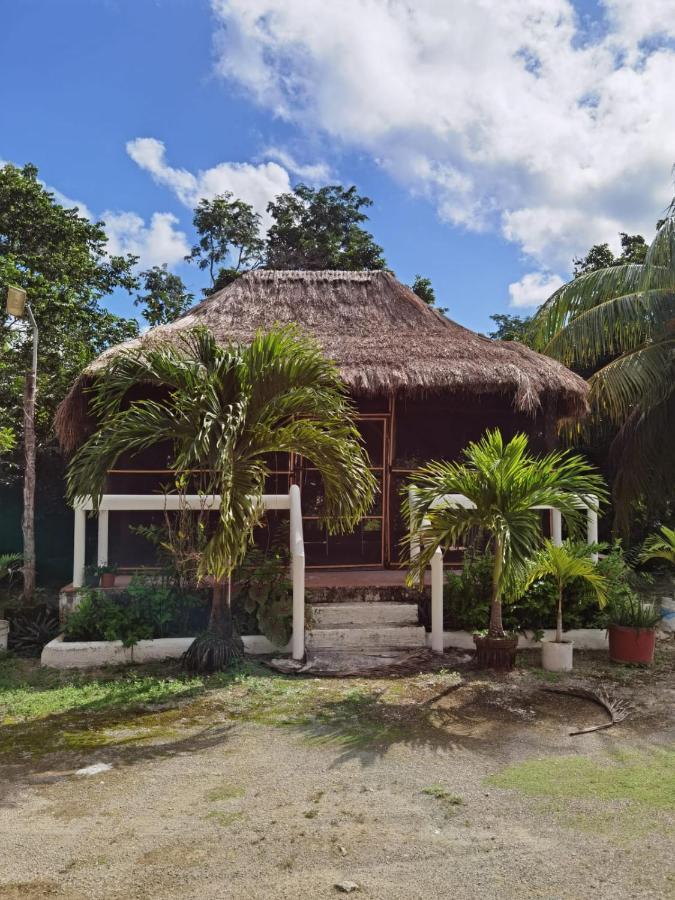 Paradise Ranch Cozumel Luaran gambar